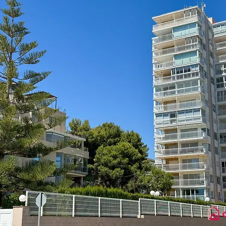 Daire Amanecer Unico *